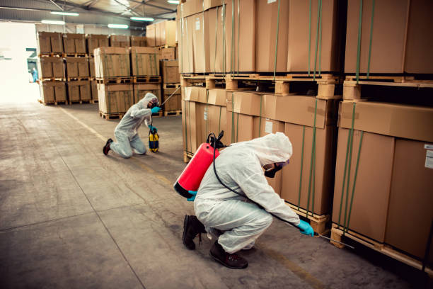 Best Affordable Pest Control Services  in Minneola, FL