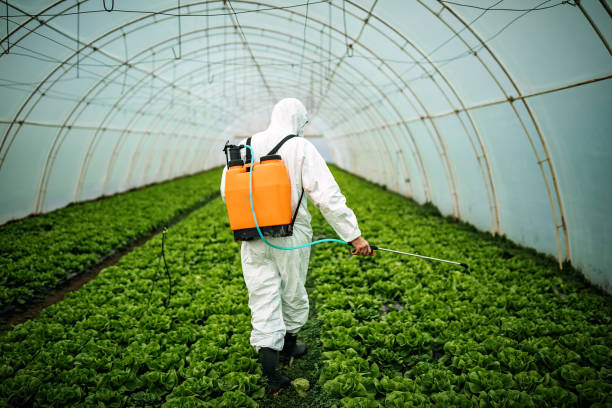 Best Pest Control Near Me  in Minneola, FL