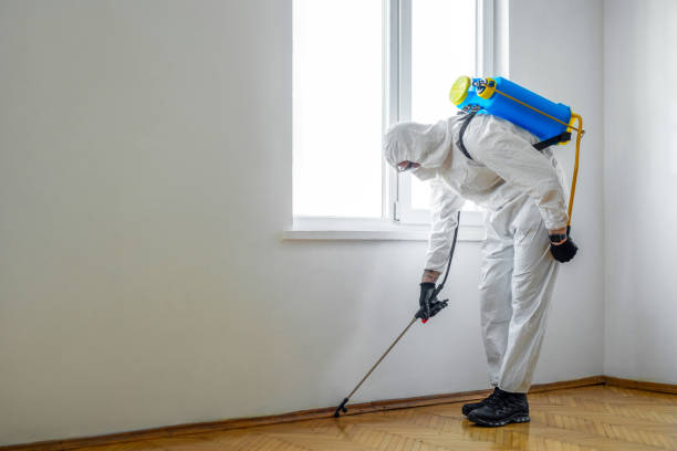  Minneola, FL Pest Control Pros