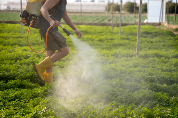 Best Exterminator Services  in Minneola, FL
