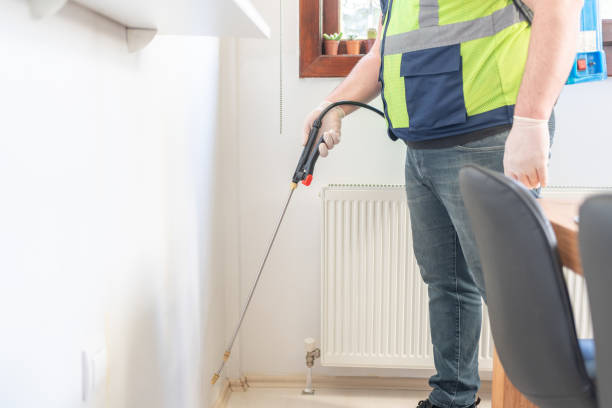 Best Flea Control Services  in Minneola, FL