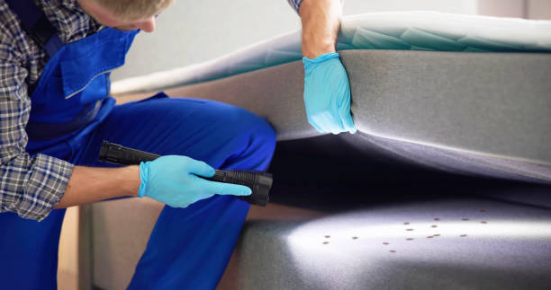 Best Emergency Pest Control  in Minneola, FL