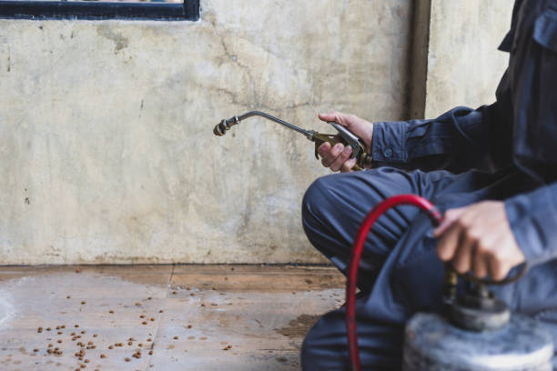 Best Affordable Pest Control Services  in Minneola, FL